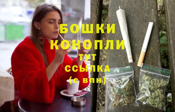 дмт Медвежьегорск