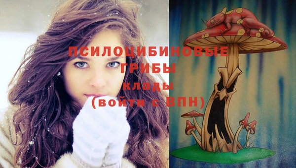 дмт Медвежьегорск