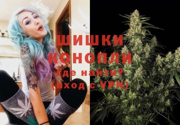 дмт Медвежьегорск