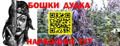 ECSTASY Славгород
