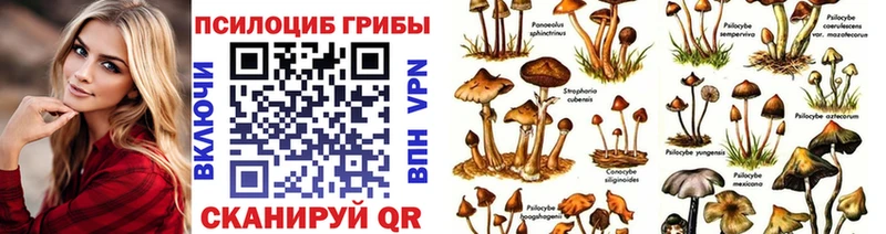 Псилоцибиновые грибы Psilocybine cubensis  блэк спрут ссылка  Серпухов 