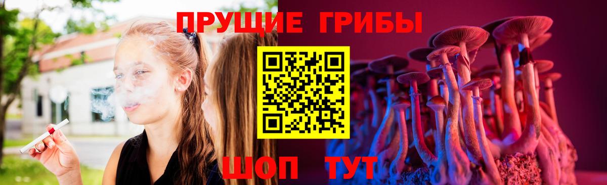 Серпухов  Псилоцибиновые грибы GOLDEN TEACHER  Вход с VPN 